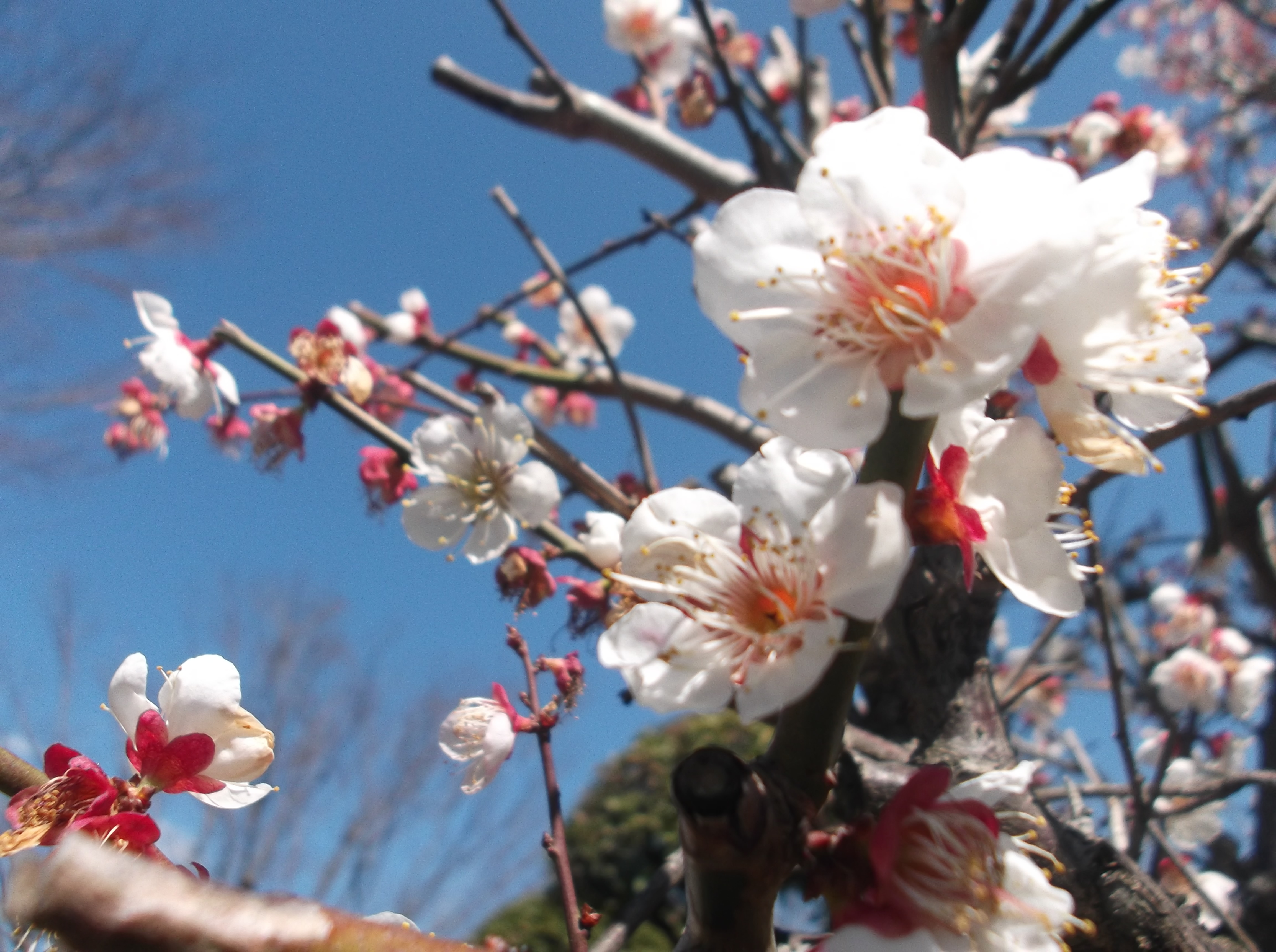 株式会社 千歳 株式会社千歳